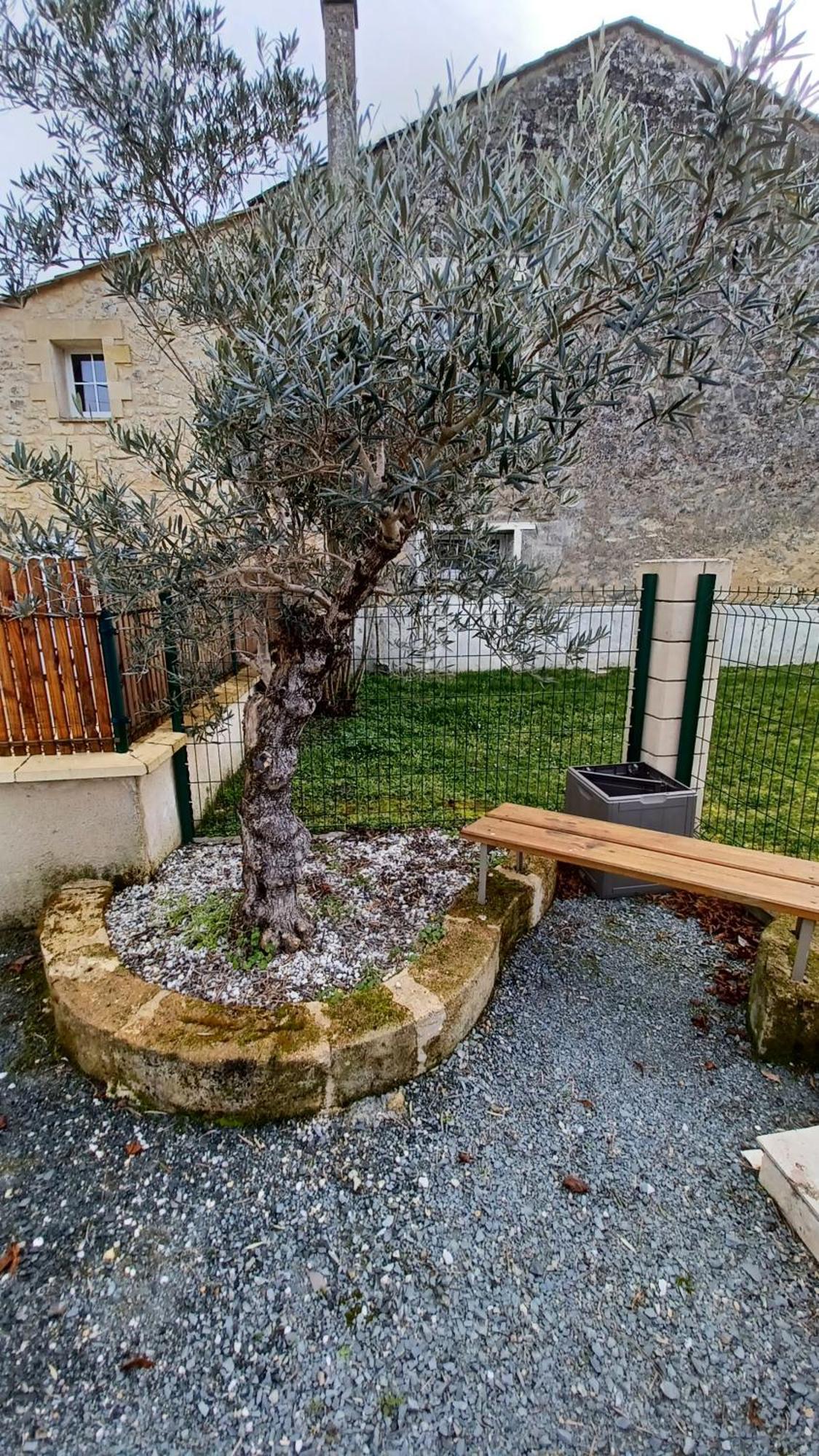 Gite Mimi Saint-Sulpice-de-Faleyrens Exterior foto